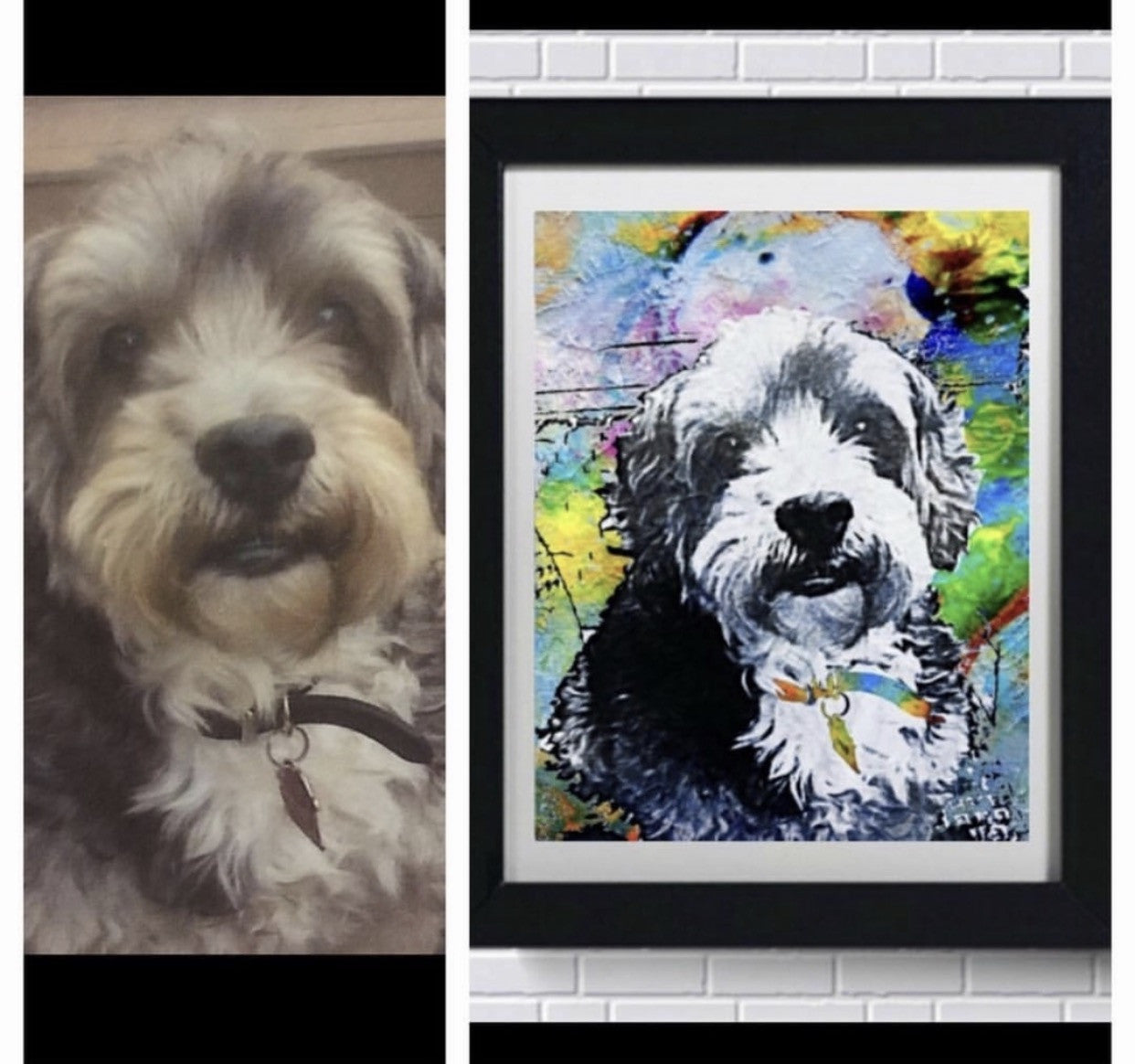 Pet Art - Rainbow Painting Style