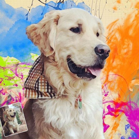 Custom Pet Art -  Paint Splatter Pet Full Color Style